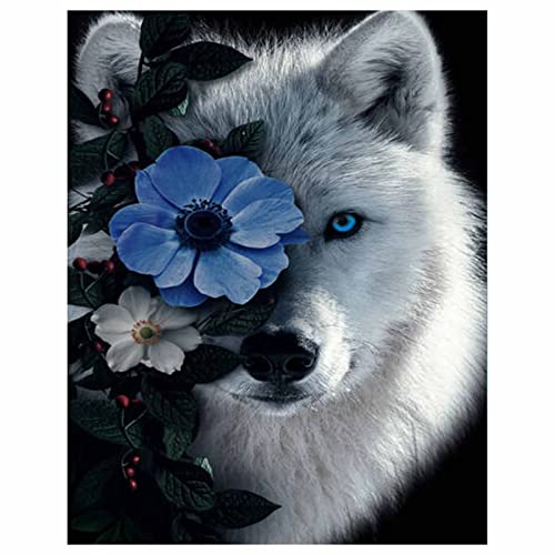 DAERLE Diamond Painting Set Wolf Diamant Painting Bilder 5D Diamant Painting Painting Kinder DIY malen nach Zahlen Erwachsene Runden Diamanten Dekoration und Geschenk 30x40cm Wolf und Blaue Blume DAERLE Diamond Painting Set Wolf Diamant Painting Bilder 5D Diamant Painting Painting Kinder DIY malen nach Zahlen Erwachsene Runden Diamanten Dekoration und Geschenk 30x40cm Wolf und Blaue Blume von DAERLE
