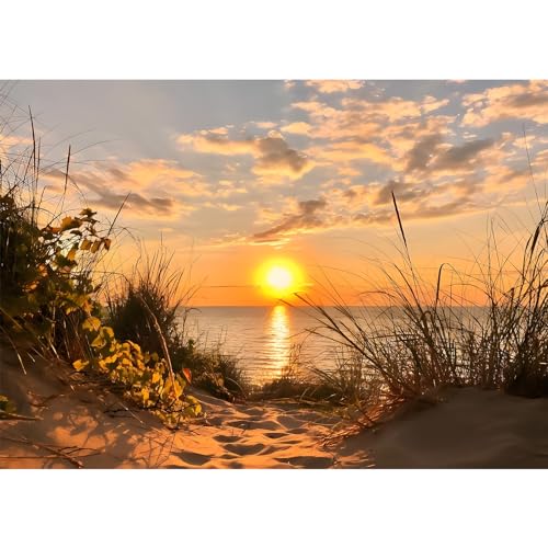 DAERLE Diamond Painting Sonnenuntergang, 5D Diamant Painting Bilder Strand Set Erwachsene, Meereslandschaft DIY Full Diamant Malen nach Zahlen für Wohnzimmer Schlafzimmer Büro Wand Dekoration 40x30cm DAERLE Diamond Painting Sonnenuntergang, 5D Diamant Painting Bilder Strand Set Erwachsene, Meereslandschaft DIY Full Diamant Malen nach Zahlen für Wohnzimmer Schlafzimmer Büro Wand Dekoration 40x30cm von DAERLE