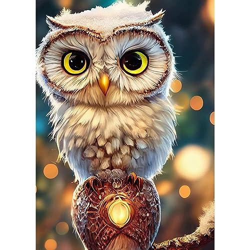 DAERLE Eule Diamond Painting Kinder, Diamant Painting Bilder Eule im Licht, Diamond Painting Erwachsene DIY Diamant Vollbild, Malen Nach Zahlen 5D Diamant Painting für Wand Dekor 30x40cm von DAERLE