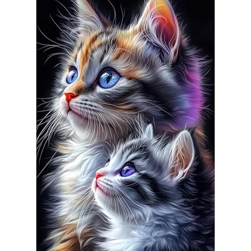 DAERLE Flauschige Katze Diamant Painting Bilder für Erwachsene Anfänger, 5D Kätzchen Diamond Painting Set, DIY Strass Bilder Diamant Kunst Kits, Diamant Painting für Zuhause Dekor 30x40 cm DAERLE Flauschige Katze Diamant Painting Bilder für Erwachsene Anfänger, 5D Kätzchen Diamond Painting Set, DIY Strass Bilder Diamant Kunst Kits, Diamant Painting für Zuhause Dekor 30x40 cm von DAERLE