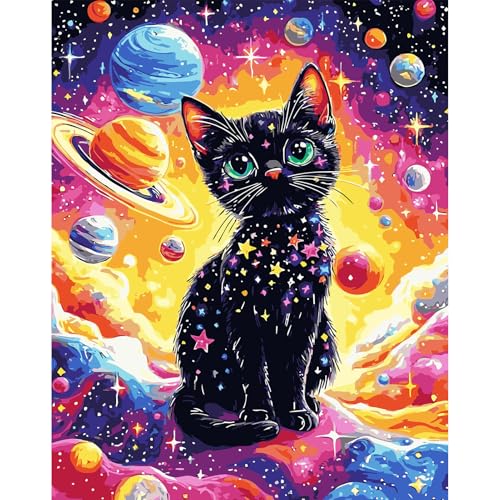 DAERLE Malen nach Zahlen Erwachsene, Niedliche schwarze Katze im Cartoon-Stil, Malen nach Zahlen Bunte Planeten, DIY Handgemalt Ölgemälde Kit Paint by Numbers Adult 30x40cm (Ohne Rahmen) von DAERLE
