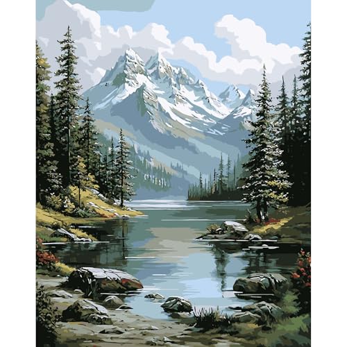 DAERLE Malen nach Zahlen Erwachsene, Wald und See, Malen nach Zahlen Berglandschaft, DIY Handgemalt Ölgemälde Kit Paint by Numbers Adult Mit 3 Pinseln und Acrylfarbe Kit 30x40cm (Ohne Rahmen) von DAERLE