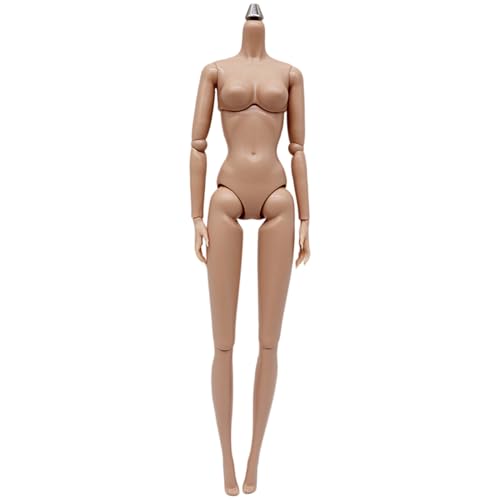 DAGLLGEW Actionfigur im Maßstab 1/6, beweglicher weiblicher Actionfigurenkörper mit Mehreren Gelenken für die Ausstellungssammlung, benutzerdefinierte Figuren, benutzerdefinierter leerer Körper von DAGLLGEW