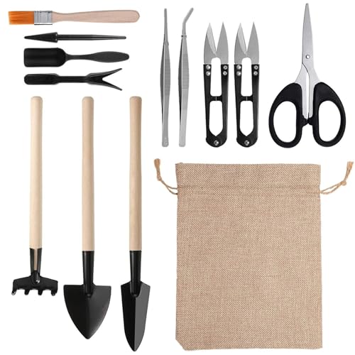 DAGLLGEW Bonsai Kit 13pcs/Set Mini Handheld Sukkulente Werkzeugkit Professionelle Bonsai -Werkzeuge transplantieren Trimmgartenwerkzeuge für die Pflanzenpflege, Sukkulente Werkzeugkit von DAGLLGEW