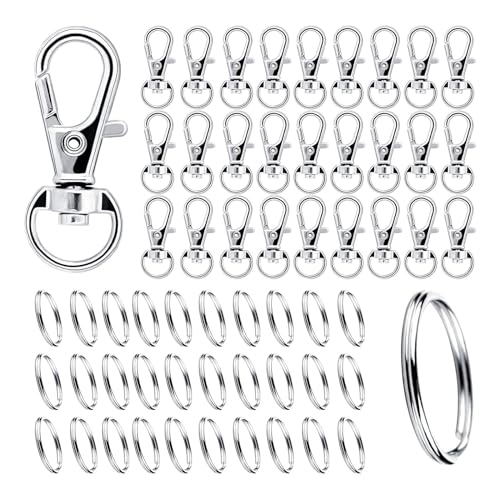 DAGORD 200 Stück Karabiner Schlüsselanhänger Ringe Schlüsselringe mit Karabiner Klein Schlüsselkarabiner Kleine Karabinerhaken mit Drehgelenk für Taschen Schlüsselbänder Basteln - Silber DAGORD 200 Stück Karabiner Schlüsselanhänger Ringe Schlüsselringe mit Karabiner Klein Schlüsselkarabiner Kleine Karabinerhaken mit Drehgelenk für Taschen Schlüsselbänder Basteln - Silber von DAGORD