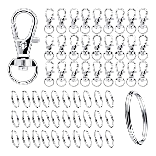DAGORD 200 Stück Karabiner Schlüsselanhänger Ringe Schlüsselringe mit Karabiner Klein Schlüsselkarabiner Kleine Karabinerhaken mit Drehgelenk für Taschen Schlüsselbänder Basteln - Silber von DAGORD
