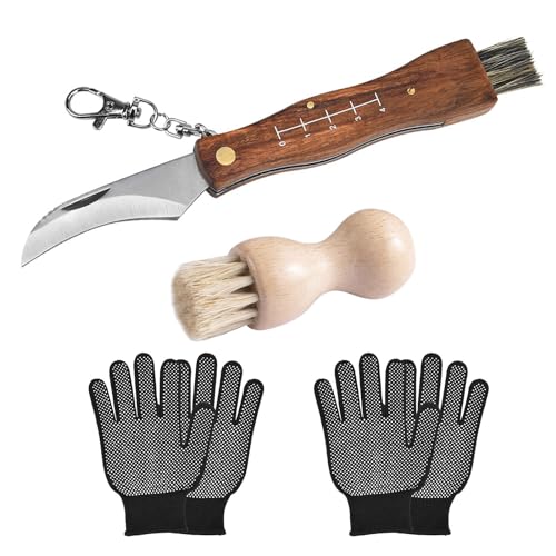 DAGORD Pilzmesser mit Bürste und Lineal Taschenmesser Klappmesser Edelstahl Pilzsammler Messer für Champignon Trüffel Mushroom knife mit Handschuhe Pilzbürste von DAGORD