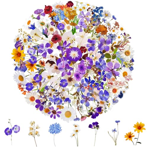 200 Stück Blumen Aufkleber Set,Scrapbooking Sticker für Erwachsene Kinder,Wasserfeste Selbstklebende ästhetische Aufkleber,Als Geschenk für die Dekoration Hochzeit Gästebuch,Laptop,Umschlag(100 Stile) 200 Stück Blumen Aufkleber Set,Scrapbooking Sticker für Erwachsene Kinder,Wasserfeste Selbstklebende ästhetische Aufkleber,Als Geschenk für die Dekoration Hochzeit Gästebuch,Laptop,Umschlag(100 Stile) von DAJUMOO