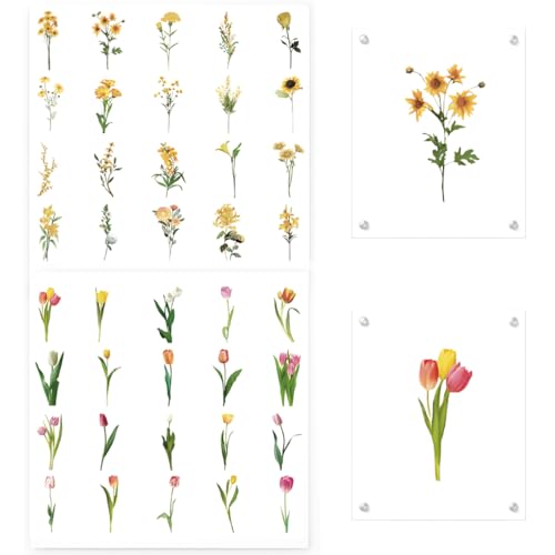 80 floral-transparente DIY-Klebebilder aus PVC (40 Designs) – Perfekt für kreative Projekte wie Fotoalben, Journals & Laptop-Deko von DAKLOP