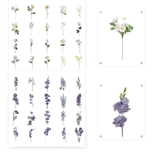 80 floral-transparente DIY-Klebebilder aus PVC (40 Designs) – Perfekt für kreative Projekte wie Fotoalben, Journals & Laptop-Deko von DAKLOP