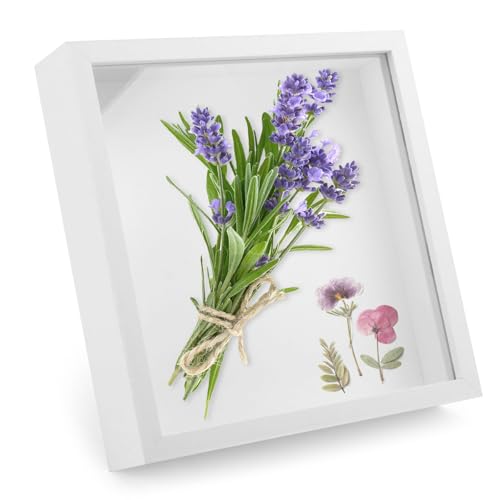 3D Bilderrahmen zum Befüllen 20 x 20cm Bilderrahmen Tief 3D Objektrahmen Hölzern bis 3cm, Bilderrahmen Quadratisch, Objektrahmen Geschenk für Fotos Collage Brautstrauß Wandbehang 3D Bilderrahmen zum Befüllen 20 x 20cm Bilderrahmen Tief 3D Objektrahmen Hölzern bis 3cm, Bilderrahmen Quadratisch, Objektrahmen Geschenk für Fotos Collage Brautstrauß Wandbehang von DAKLUNAR