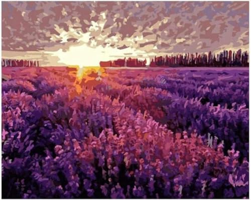 DALWI Malen Nach Zahlen Malen Nach Zahlen Für Erwachsene Provence-Lavendel Für Freunde Diy-Malerei 40x50cm von DALWI