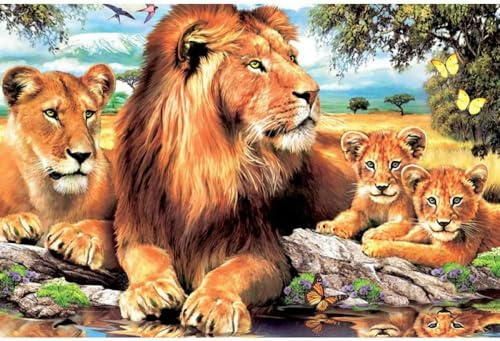 DALWI Malen nach Zahlen für Erwachsene, Löwenfamilie, digitales Malen-nach-Zahlen-Set auf Leinwand, 40 x 50 cm von DALWI