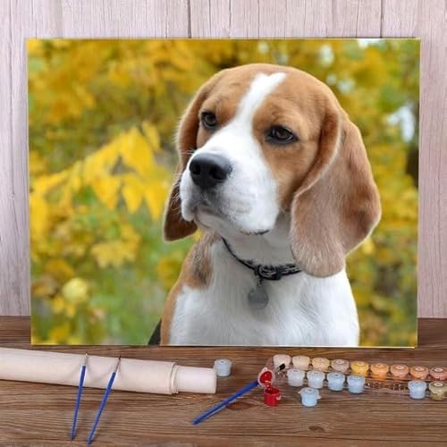Tier Hund Beagle Malen Nach Zahlen Set Ölfarben Malerei Auf Leinwand Home Decor Für Erwachsene Handarbeit Kunsthandwerk 40x50cm von DALWI