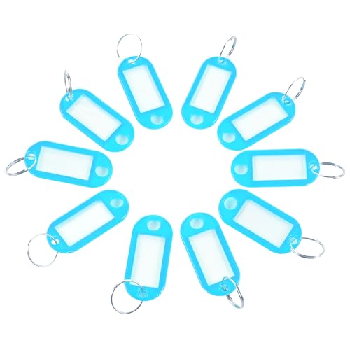 DARDVORLAG 300 Stück Schlüsselanhänger mit Etikett – PP Kunststoff Schlüsselanhänger 5,7 x 4,6 x 1,9 cm, beschriftbare Schlüsselringe für Büro, Hotel, Gepäck, Haustiere (Klassiker, Blau) von DARDVORLAG