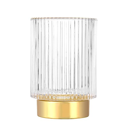 DASITON Make up Pinsel Organizer,Kosmetik Organizer,Make up Pinsel Aufbewahrung aus Glas,Pinselhalter,Stifthalter,Desktop Aufbewahrungsbecher für Schlafzimmer,Kommode,Büro-Desktop(Transparente L) von DASITON
