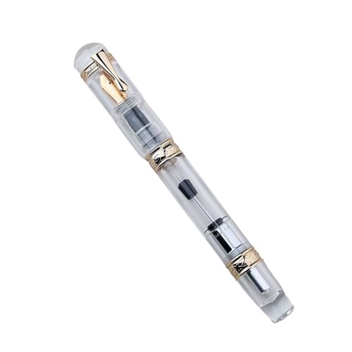 DAVNO Hocheffizienter, tintenabsorbierender Acryl-Füllfederhalter, innovativer Druckkolben, Vakuum, große Kapazität, Tintenschreiber (M) von DAVNO