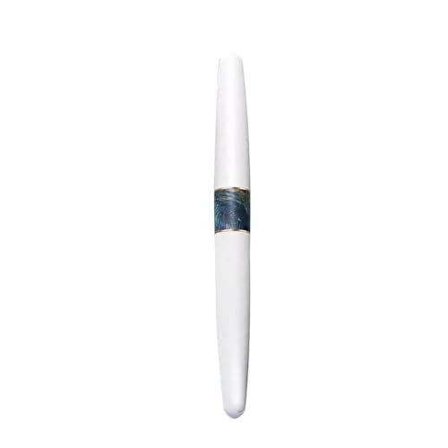DAVNO Metall-Füllfederhalter, EF-F-Feder, minimalistisch, schwarz-weiß, hochwertiger Business-Luxus-Stift für Schule, Büro, Schreibbedarf (WH, EF) von DAVNO