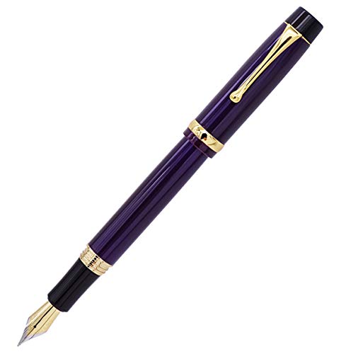DAVNO Noble Füllfederhalter, mittlere Feder, 0,7 mm, mit Konverter, Metall, luxuriöse Tintenstifte für Büro, Geschäft, Zuhause, Schule DAVNO Noble Füllfederhalter, mittlere Feder, 0,7 mm, mit Konverter, Metall, luxuriöse Tintenstifte für Büro, Geschäft, Zuhause, Schule von DAVNO