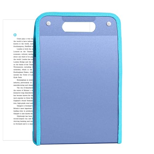 DAWCBVJQ Ziehharmonika Ordner Aktenordner Organizer 36x24cm Dokumentenmappe A4 PP Fächermappe A4 Akkordeons Mappe Mit 13 FäChern Ordnungsmappe Dokumentenhalter Für Kleines Unternehmen Besprechungsr von DAWCBVJQ