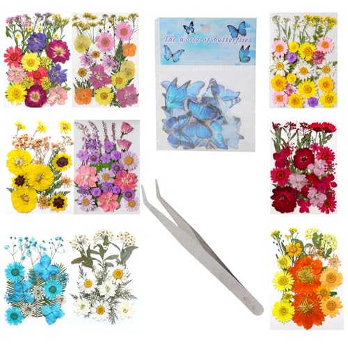 DAYLIGHE Natürliche Gepresste Getrocknete Mit Pinzetten Schmetterling Aufkleber Für Epoxidharz Seifen Kerzenschmuck Machen Scrapbooking DAYLIGHE Natürliche Gepresste Getrocknete Mit Pinzetten Schmetterling Aufkleber Für Epoxidharz Seifen Kerzenschmuck Machen Scrapbooking von DAYLIGHE