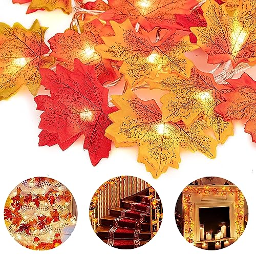 DAZZTIME Ahornblatt Lichterketten,Herbst Ahornblatt Girlande Lichterkette,6M 40LED Maple Leaf Lichterketten,Halloween Deko Lichterkette,Ahornblätter Licht für Herbst Party,Weihnachten,Thanksgiving(A) DAZZTIME Ahornblatt Lichterketten,Herbst Ahornblatt Girlande Lichterkette,6M 40LED Maple Leaf Lichterketten,Halloween Deko Lichterkette,Ahornblätter Licht für Herbst Party,Weihnachten,Thanksgiving(A) von DAZZTIME