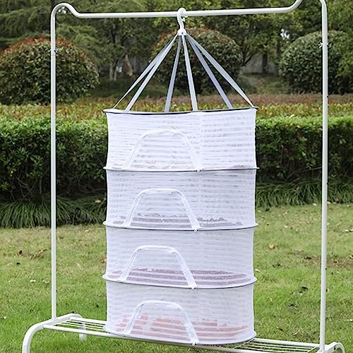 DAZZTIME Trockennetz Kräuter,4-Lagiges Mesh Trockennetz für KräUter,HäNgendes Trockennetz,Faltbar Kräutertrockner Mit ReißVerschlüssen,Zum Trocknen von Samen Fisch Gemüse Obst Tasche Kräuter DAZZTIME Trockennetz Kräuter,4-Lagiges Mesh Trockennetz für KräUter,HäNgendes Trockennetz,Faltbar Kräutertrockner Mit ReißVerschlüssen,Zum Trocknen von Samen Fisch Gemüse Obst Tasche Kräuter von DAZZTIME