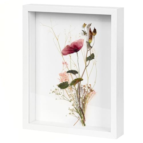 Weiß 3D Bilderrahmen aus Holz, 21 x 29.7cm Deep Box Fotorahmen, 3D Schattenbox A4, Bilderrahmen Tief , Praktisches Design A4 Objektrahmen, Display Fotorahmen für Blumen Medaillen Erinnerungsstücke Weiß 3D Bilderrahmen aus Holz, 21 x 29.7cm Deep Box Fotorahmen, 3D Schattenbox A4, Bilderrahmen Tief , Praktisches Design A4 Objektrahmen, Display Fotorahmen für Blumen Medaillen Erinnerungsstücke von DBTW
