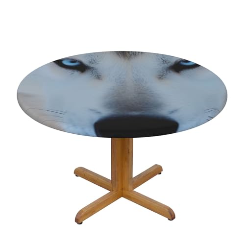 DCARSETCV Blaue Augen Wolf bedruckte runde Tischdecke, kleine Größe, Stofftischdecke, waschbar, Tischdecke mit elastischem Rand, für Küche, Esszimmer, Hochzeit, Partys DCARSETCV Blaue Augen Wolf bedruckte runde Tischdecke, kleine Größe, Stofftischdecke, waschbar, Tischdecke mit elastischem Rand, für Küche, Esszimmer, Hochzeit, Partys von DCARSETCV