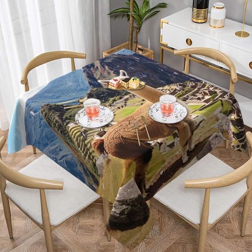 DCARSETCV Quadratische Tischdecke mit Schafmotiv, 152,4 x 152,4 cm, waschbar, Tischdecke für Küche, Esszimmer, Hochzeit, Partys DCARSETCV Quadratische Tischdecke mit Schafmotiv, 152,4 x 152,4 cm, waschbar, Tischdecke für Küche, Esszimmer, Hochzeit, Partys von DCARSETCV