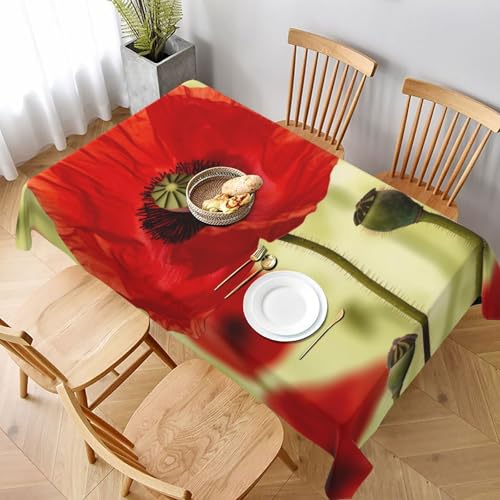 DCARSETCV Rechteckige Tischdecke, bedruckt, Motiv: rote Mohnblumen, 228 x 152 cm, Stoff-Tischdecke, waschbar, Tischdecke für Küche, Esszimmer, Hochzeit, Partys DCARSETCV Rechteckige Tischdecke, bedruckt, Motiv: rote Mohnblumen, 228 x 152 cm, Stoff-Tischdecke, waschbar, Tischdecke für Küche, Esszimmer, Hochzeit, Partys von DCARSETCV