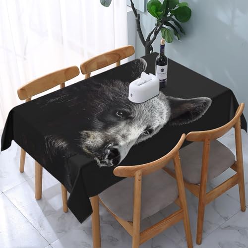 DCARSETCV Rechteckige Tischdecke mit Bärenmotiv, 183 x 137 cm, waschbar, Tischdecke für Küche, Esszimmer, Hochzeit, Partys DCARSETCV Rechteckige Tischdecke mit Bärenmotiv, 183 x 137 cm, waschbar, Tischdecke für Küche, Esszimmer, Hochzeit, Partys von DCARSETCV