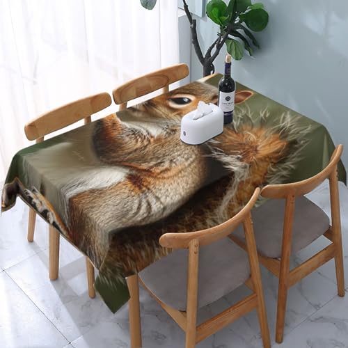 DCARSETCV Rechteckige Tischdecke mit Eichhörnchen-Motiv, 183 x 137 cm, waschbar, Tischdecke für Küche, Esszimmer, Hochzeit, Partys DCARSETCV Rechteckige Tischdecke mit Eichhörnchen-Motiv, 183 x 137 cm, waschbar, Tischdecke für Küche, Esszimmer, Hochzeit, Partys von DCARSETCV