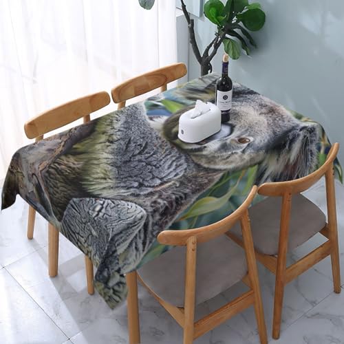 DCARSETCV Rechteckige Tischdecke mit Koala-Motiv, 183 x 137 cm, waschbar, Tischdecke für Küche, Esszimmer, Hochzeit, Partys von DCARSETCV
