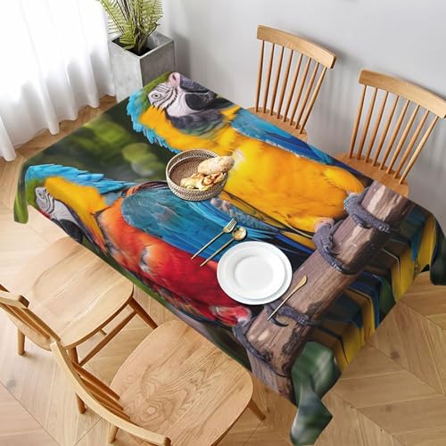 DCARSETCV Rechteckige Tischdecke mit Papageien-Motiv, 228 x 152 cm, Stoff-Tischdecke, waschbar, Tischdecke für Küche, Esszimmer, Dekoration, Hochzeitsfeiern DCARSETCV Rechteckige Tischdecke mit Papageien-Motiv, 228 x 152 cm, Stoff-Tischdecke, waschbar, Tischdecke für Küche, Esszimmer, Dekoration, Hochzeitsfeiern von DCARSETCV