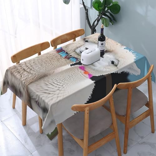 DCARSETCV Rechteckige Tischdecke mit niedlichem Alpaka-Motiv, 183 x 137 cm, waschbar, Tischdecke für Küche, Esszimmer, Hochzeit, Partys DCARSETCV Rechteckige Tischdecke mit niedlichem Alpaka-Motiv, 183 x 137 cm, waschbar, Tischdecke für Küche, Esszimmer, Hochzeit, Partys von DCARSETCV