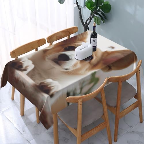 DCARSETCV Rechteckige Tischdecke mit niedlichem Corgi-Cartoon-Druck, 183 x 137 cm, Stoff-Tischdecke, waschbar, Tischdecke für Küche, Esszimmer, Dekoration, Hochzeitsfeiern DCARSETCV Rechteckige Tischdecke mit niedlichem Corgi-Cartoon-Druck, 183 x 137 cm, Stoff-Tischdecke, waschbar, Tischdecke für Küche, Esszimmer, Dekoration, Hochzeitsfeiern von DCARSETCV