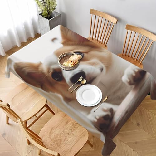 DCARSETCV Rechteckige Tischdecke mit niedlichem Corgi-Cartoon-Druck, 228 x 152 cm, Stoff-Tischdecke, waschbar, Tischdecke für Küche, Esszimmer, Dekoration, Hochzeitsfeiern DCARSETCV Rechteckige Tischdecke mit niedlichem Corgi-Cartoon-Druck, 228 x 152 cm, Stoff-Tischdecke, waschbar, Tischdecke für Küche, Esszimmer, Dekoration, Hochzeitsfeiern von DCARSETCV