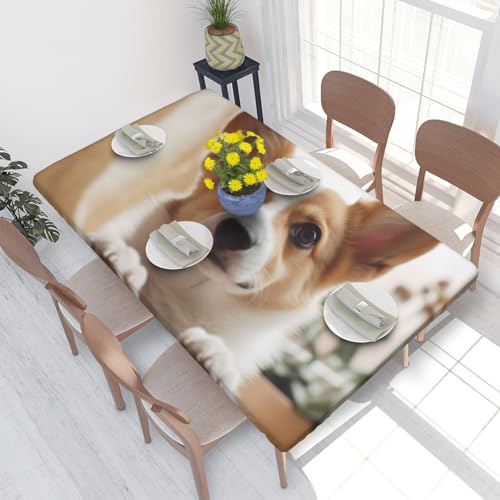 DCARSETCV Rechteckige Tischdecke mit niedlichem Corgi-Cartoon-Druck, Blumenmuster, passend für 122 cm Tisch, Stoff, elastischer Rand, Tischdecke für Küche, Esszimmer, Party, Hochzeit von DCARSETCV