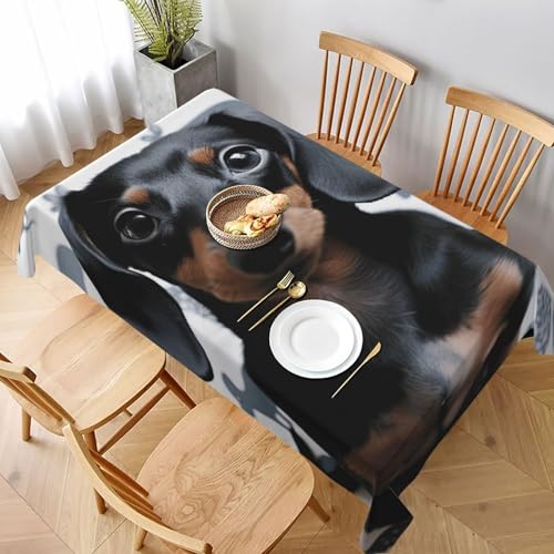 DCARSETCV Rechteckige Tischdecke mit niedlichem Dackel-Motiv, 228 x 152 cm, Stoff-Tischdecke, waschbar, Tischdecke für Küche, Esszimmer, Dekoration, Hochzeitsfeiern DCARSETCV Rechteckige Tischdecke mit niedlichem Dackel-Motiv, 228 x 152 cm, Stoff-Tischdecke, waschbar, Tischdecke für Küche, Esszimmer, Dekoration, Hochzeitsfeiern von DCARSETCV