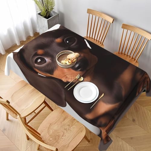 DCARSETCV Rechteckige Tischdecke mit niedlichem Dackel-Motiv, bedruckt, 228 x 152 cm, Stoff-Tischdecke, waschbar, Tischdecke für Küche, Esszimmer, Dekoration, Hochzeitsfeiern DCARSETCV Rechteckige Tischdecke mit niedlichem Dackel-Motiv, bedruckt, 228 x 152 cm, Stoff-Tischdecke, waschbar, Tischdecke für Küche, Esszimmer, Dekoration, Hochzeitsfeiern von DCARSETCV