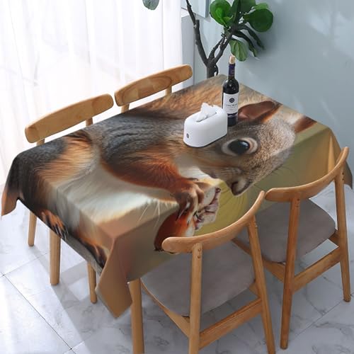 DCARSETCV Rechteckige Tischdecke mit niedlichem Eichhörnchen-Motiv, 183 x 137 cm, waschbar, Tischdecke für Küche, Esszimmer, Hochzeit, Partys DCARSETCV Rechteckige Tischdecke mit niedlichem Eichhörnchen-Motiv, 183 x 137 cm, waschbar, Tischdecke für Küche, Esszimmer, Hochzeit, Partys von DCARSETCV