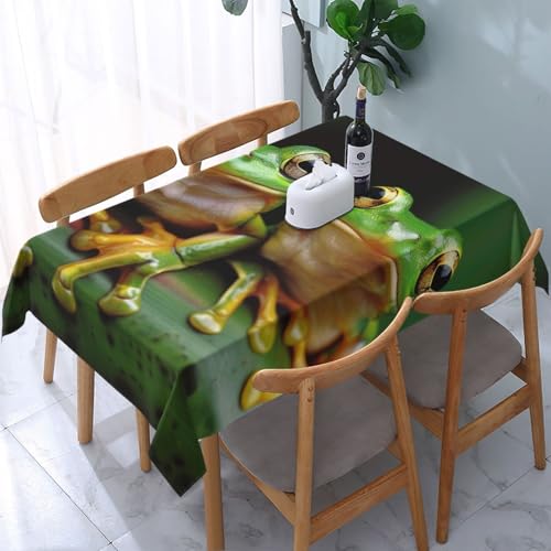 DCARSETCV Rechteckige Tischdecke mit niedlichem Froschmotiv, 183 x 137 cm, waschbare Tischdecke für Küche, Esszimmer, Dekoration, Hochzeitsfeiern DCARSETCV Rechteckige Tischdecke mit niedlichem Froschmotiv, 183 x 137 cm, waschbare Tischdecke für Küche, Esszimmer, Dekoration, Hochzeitsfeiern von DCARSETCV