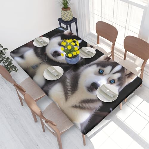 DCARSETCV Rechteckige Tischdecke mit niedlichem Husky-Motiv, bedruckt, Blumenmuster, passend für 122 cm, Stoff, elastischer Rand, Tischdecke für Küche, Esszimmer, Party, Hochzeit von DCARSETCV