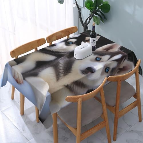 DCARSETCV Rechteckige Tischdecke mit schönem Husky-Muster, 183 x 137 cm, waschbar, Tischdecke für Küche, Esszimmer, Hochzeit, Partys DCARSETCV Rechteckige Tischdecke mit schönem Husky-Muster, 183 x 137 cm, waschbar, Tischdecke für Küche, Esszimmer, Hochzeit, Partys von DCARSETCV