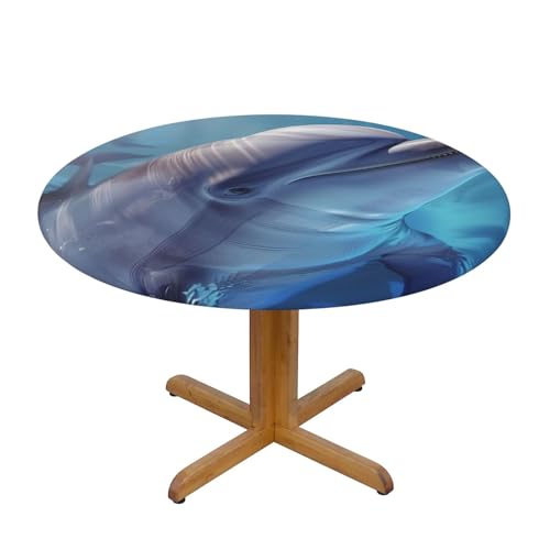 DCARSETCV Runde Tischdecke mit Motiv "Winter der Delfin", klein, waschbar, Tischdecke mit elastischem Rand, für Küche, Esszimmer, Hochzeit, Partys DCARSETCV Runde Tischdecke mit Motiv "Winter der Delfin", klein, waschbar, Tischdecke mit elastischem Rand, für Küche, Esszimmer, Hochzeit, Partys von DCARSETCV