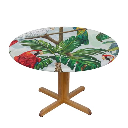 DCARSETCV Runde Tischdecke mit Papageienvögeln und tropischem Baum, bedruckt, kleine Größe, Stofftischdecke, waschbar, Tischdecke mit elastischem Rand, für Küche, Esszimmer, Hochzeit, Partys DCARSETCV Runde Tischdecke mit Papageienvögeln und tropischem Baum, bedruckt, kleine Größe, Stofftischdecke, waschbar, Tischdecke mit elastischem Rand, für Küche, Esszimmer, Hochzeit, Partys von DCARSETCV