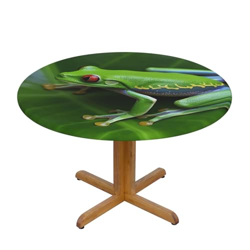 DCARSETCV Runde Tischdecke mit Tiermotiv, Froschblätter, bedruckt, klein, Stoff, waschbar, Tischdecke mit elastischem Rand, für Küche, Esszimmer, Hochzeit, Partys DCARSETCV Runde Tischdecke mit Tiermotiv, Froschblätter, bedruckt, klein, Stoff, waschbar, Tischdecke mit elastischem Rand, für Küche, Esszimmer, Hochzeit, Partys von DCARSETCV