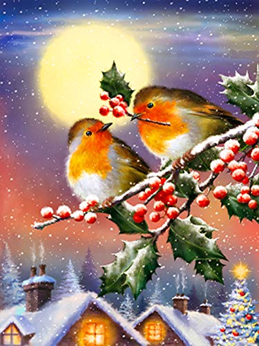 5D Diamant Malerei Malen nach Zahlen Set Rotes Obst Vogel Diamanten Kunst Leinwand zum Malen Kristall Strass Stickerei Bilder Kunsthandwerk für Zuhause Wanddekoration 30 x 40 cm 5D Diamant Malerei Malen nach Zahlen Set Rotes Obst Vogel Diamanten Kunst Leinwand zum Malen Kristall Strass Stickerei Bilder Kunsthandwerk für Zuhause Wanddekoration 30 x 40 cm von DCIDBEI