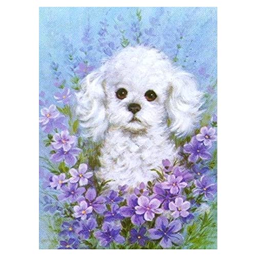 DCIDBEI 30 x 40 cm Diamond Painting Rund, 5D-Diamant-Malerei Tiere Set, Hund Malen NachZahlen Erwachsene Kinder, Kunstkristall, Wanddekoration für den Innenbereich, weißer Chihuahua DCIDBEI 30 x 40 cm Diamond Painting Rund, 5D-Diamant-Malerei Tiere Set, Hund Malen NachZahlen Erwachsene Kinder, Kunstkristall, Wanddekoration für den Innenbereich, weißer Chihuahua von DCIDBEI